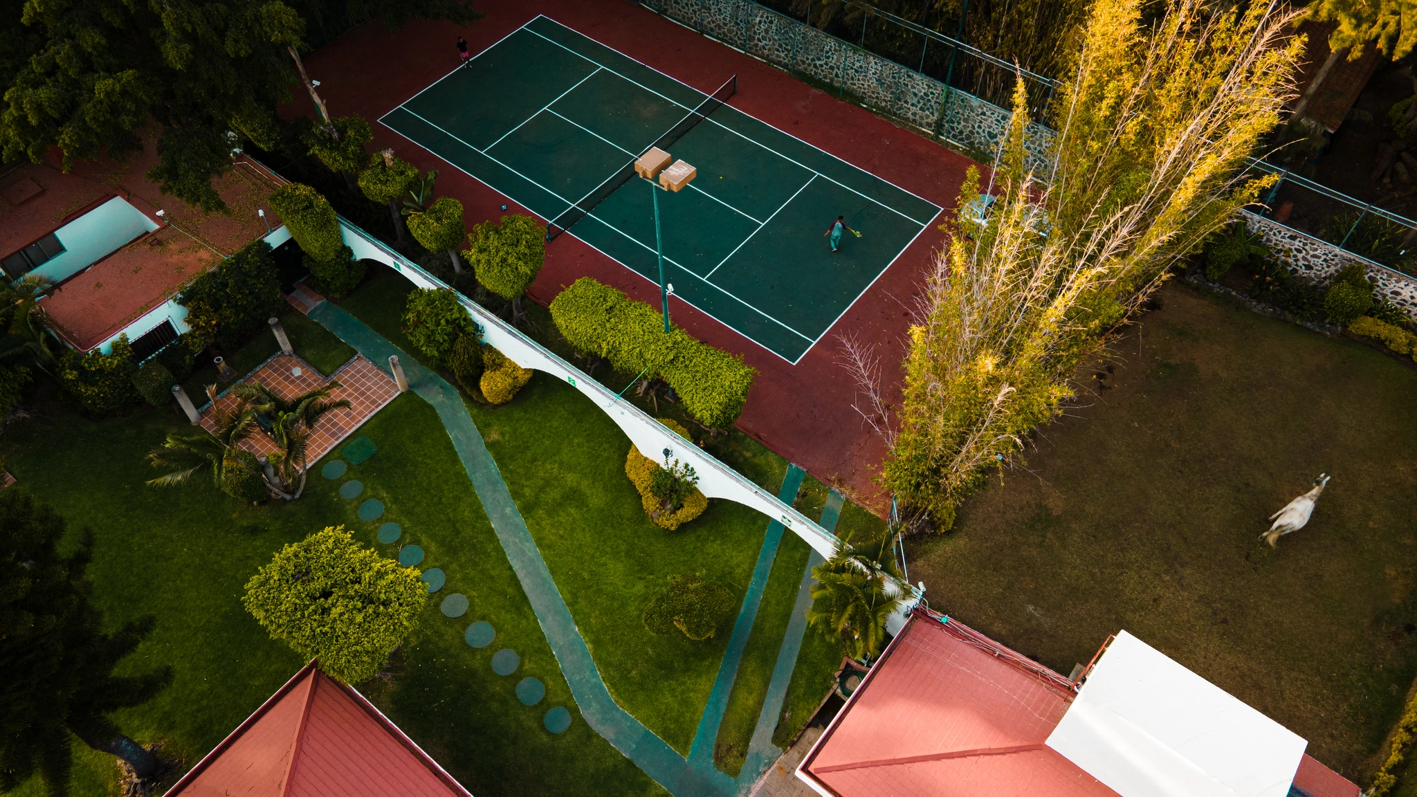 Galeria Clinica Life 9